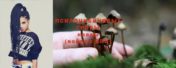 мяу мяу мука Алзамай