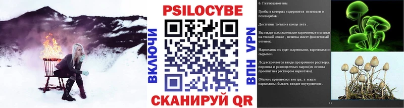 Галлюциногенные грибы Magic Shrooms  хочу наркоту  Минусинск 