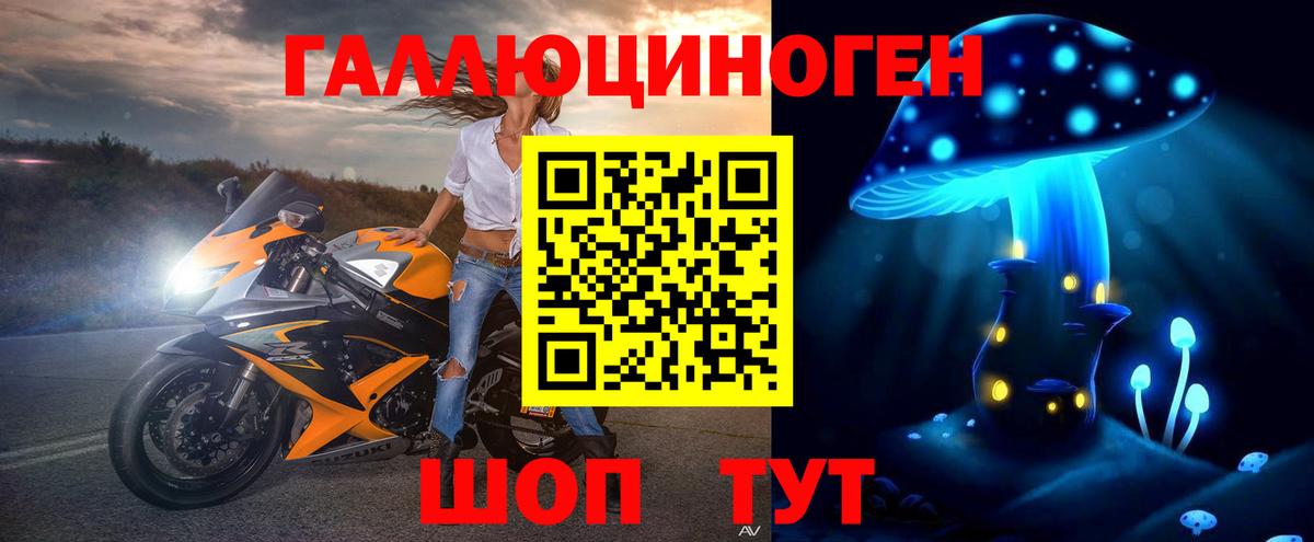 Псилоцибиновые грибы Psilocybe Минусинск
